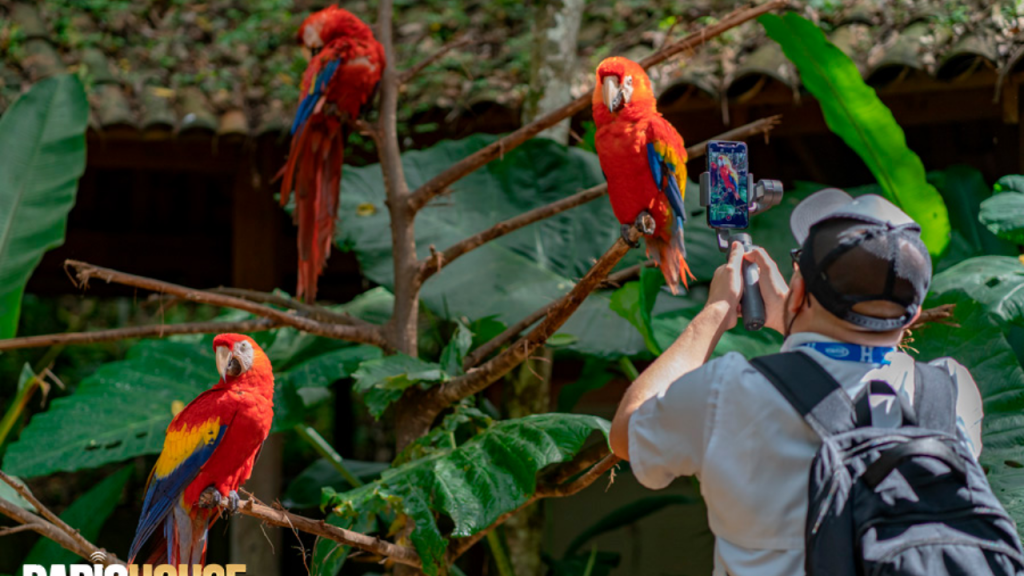 Descubre Los Destinos Tur Sticos Imprescindibles De Honduras En 2024   4 1 1024x576 